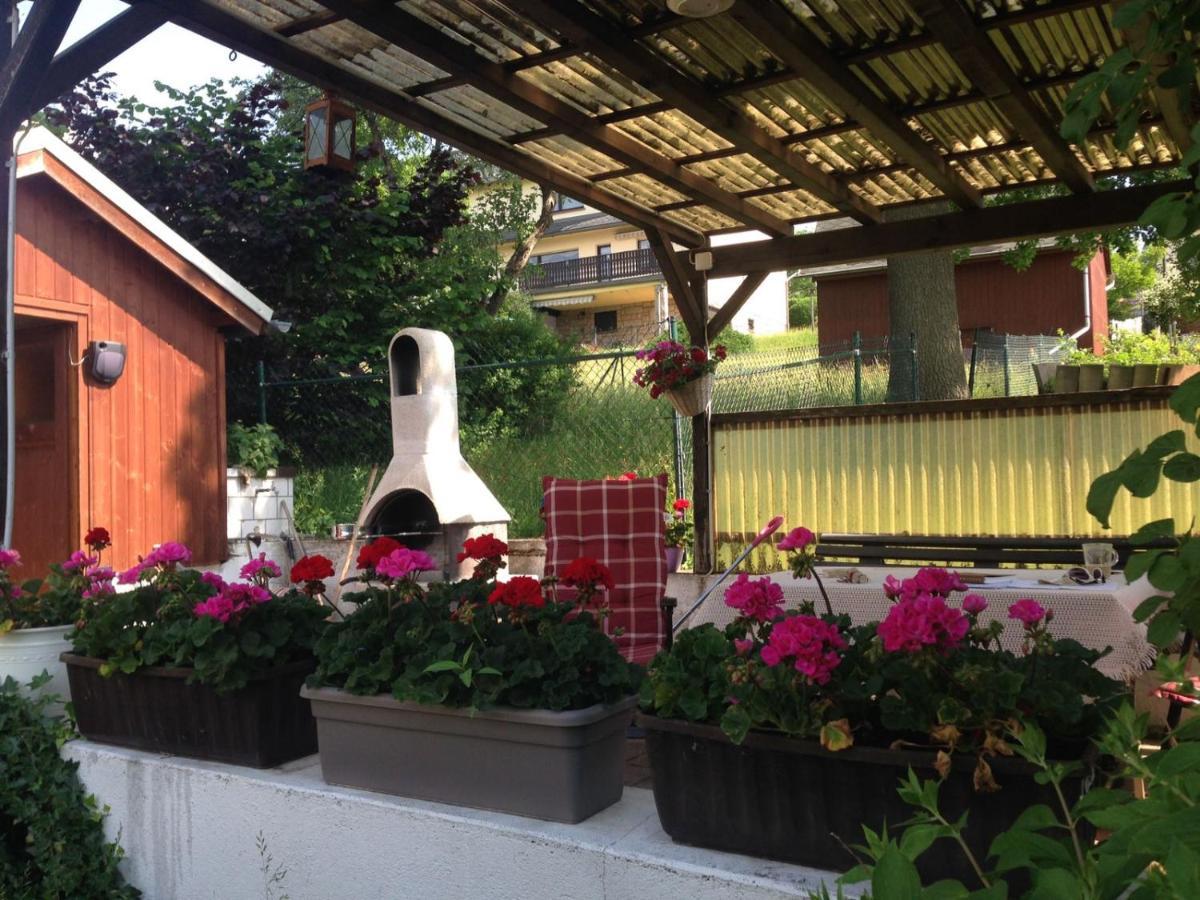 Am Balkon Des Erzgebirges Apartment Bernsbach Ngoại thất bức ảnh