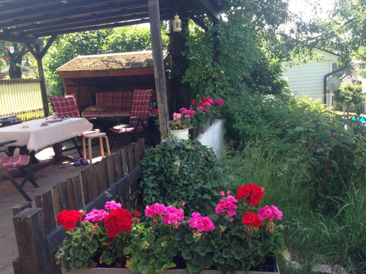 Am Balkon Des Erzgebirges Apartment Bernsbach Ngoại thất bức ảnh
