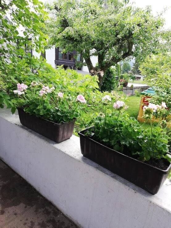 Am Balkon Des Erzgebirges Apartment Bernsbach Ngoại thất bức ảnh
